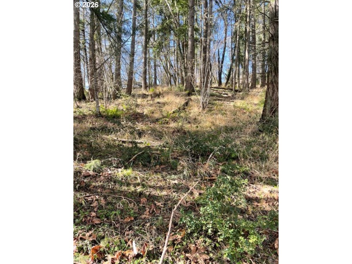 3872 Monroe Street Eugene, OR 97405 - Photo 5 of 9