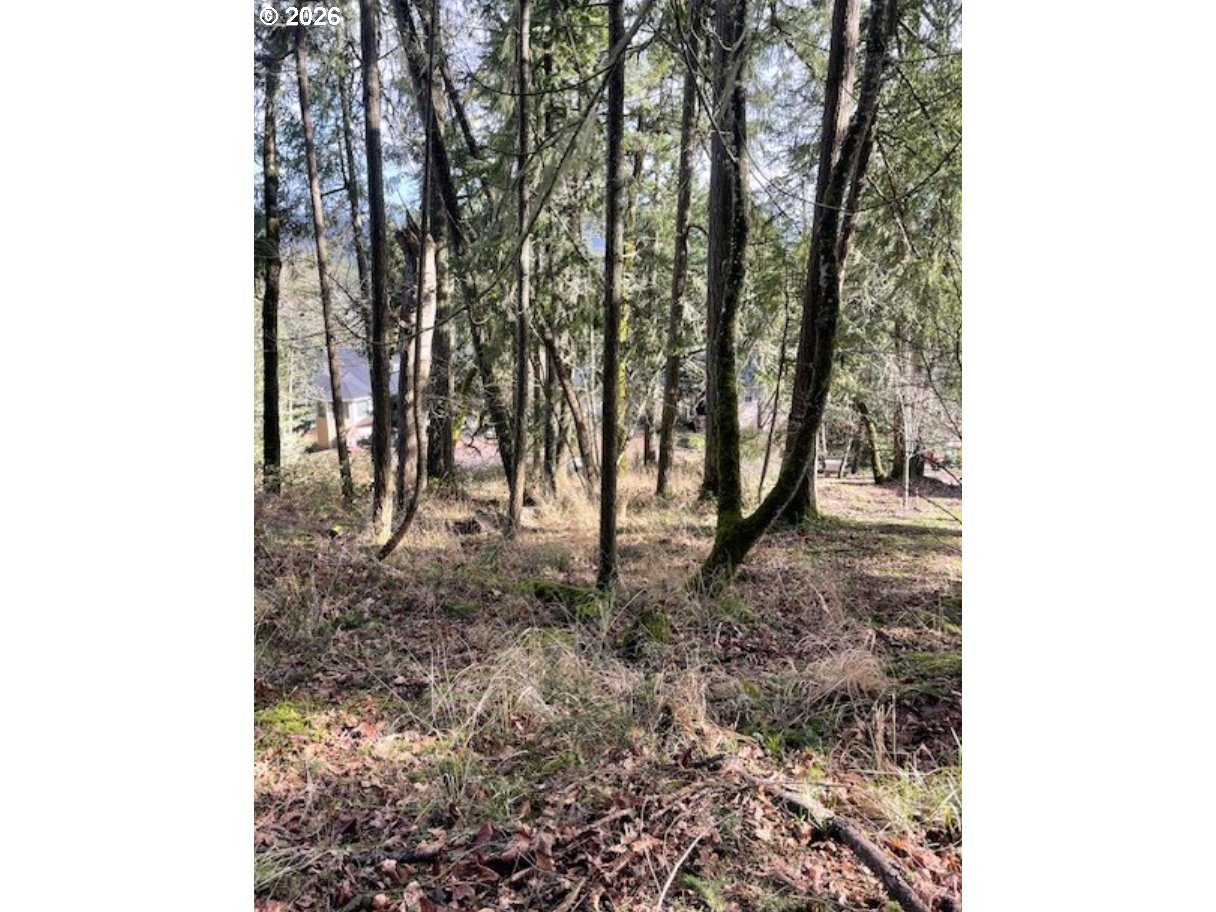 3872 Monroe Street Eugene, OR 97405 - Photo 6 of 9