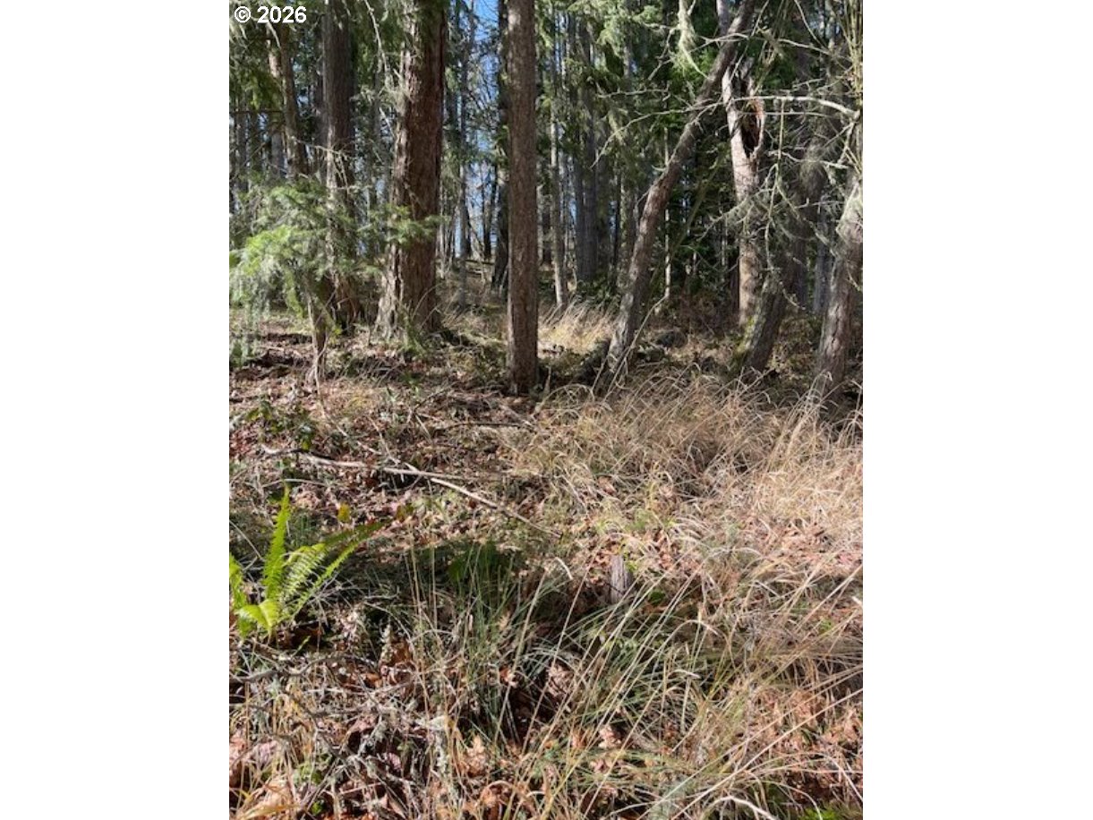 3872 Monroe Street Eugene, OR 97405 - Photo 7 of 9