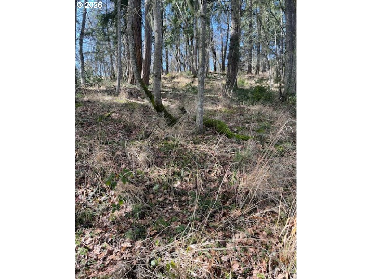 3872 Monroe Street Eugene, OR 97405 - Photo 8 of 9