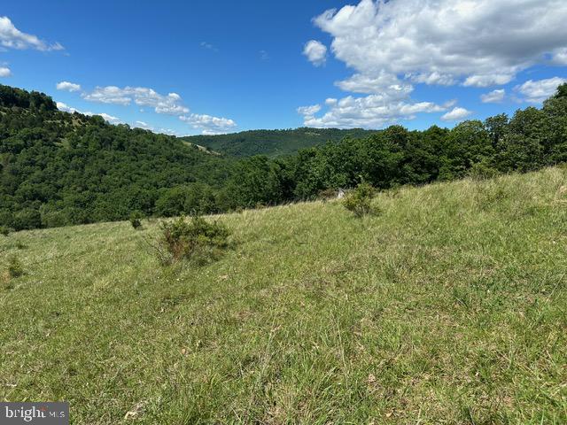 1096 Co Rte 10/2 Franklin, WV 26807 - Photo 22 of 23
