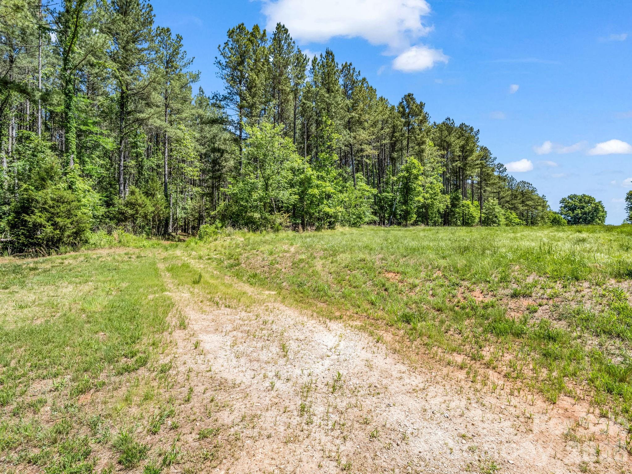 0 Jim Dobbins Road Rutherfordton, NC 28139 - Photo 17 of 39 a view of a field with an trees