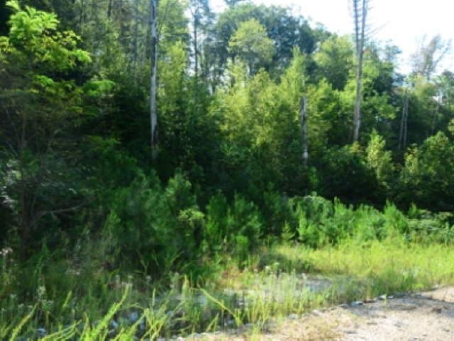 15 Mtn Ridge Drive Rabun Gap, GA 30568 - Photo 1 of 1 Gallery Image 1