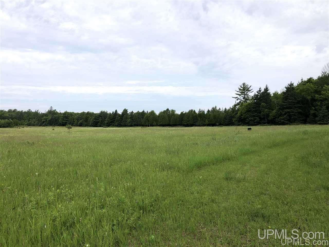 3509 17th Road Garden, MI 49835 - Photo 3 of 8