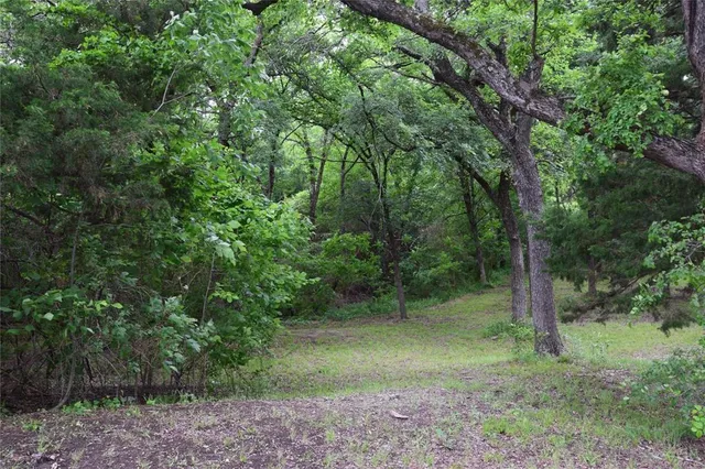 a view of outdoor space and trees