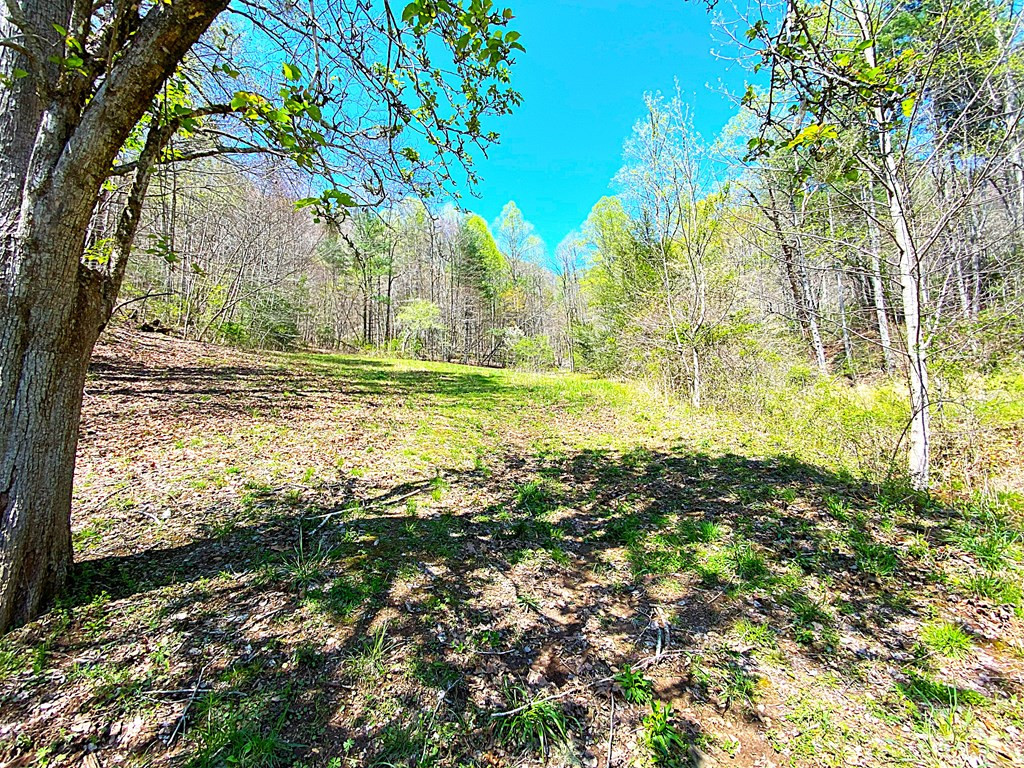 208 Odell Loop Murphy, NC 28906 - Photo 29 of 45