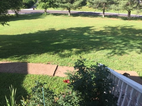 1199 Iron Bridge Road Columbia, TN 38401 - Photo 27 of 37