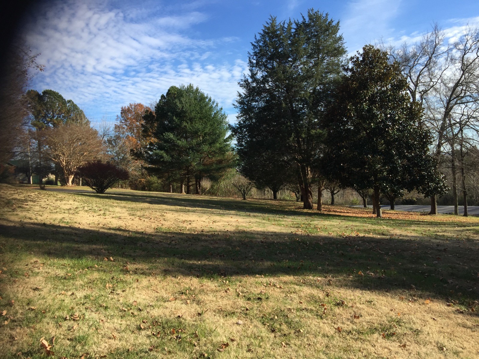 1199 Iron Bridge Road Columbia, TN 38401 - Photo 28 of 37