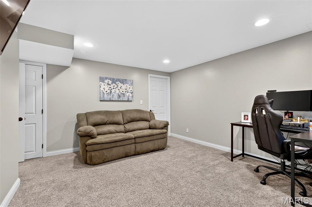 2710 Wild Valley Drive High Ridge, MO 63049 - Photo 63 of 79