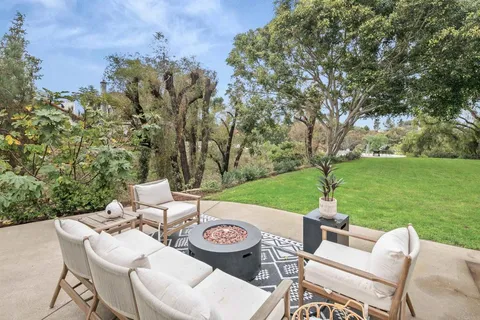 a view of a yard with plants and trees