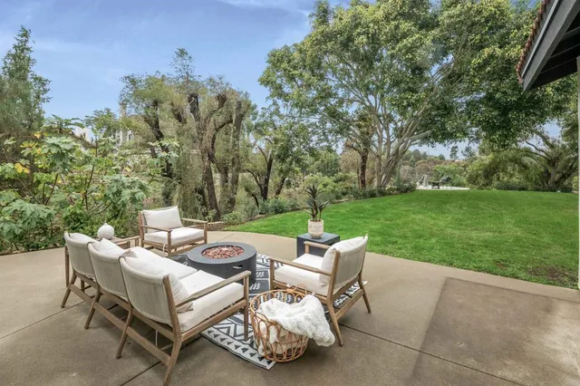 a view of a yard with potted plants
