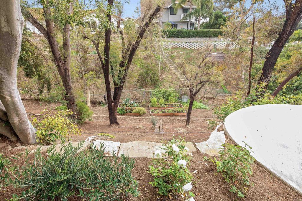 1427 Avocado Road Oceanside, CA 92054 - Photo 54 of 60 a view of a yard with plants and trees