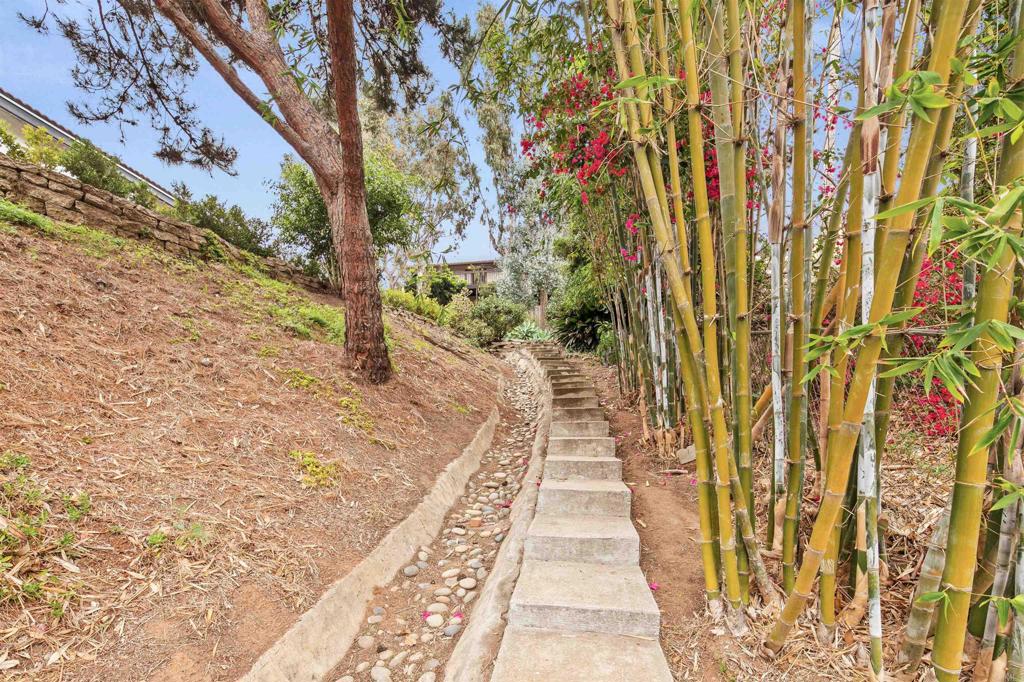 1427 Avocado Road Oceanside, CA 92054 - Photo 55 of 60 a view of a pathway with a pathway