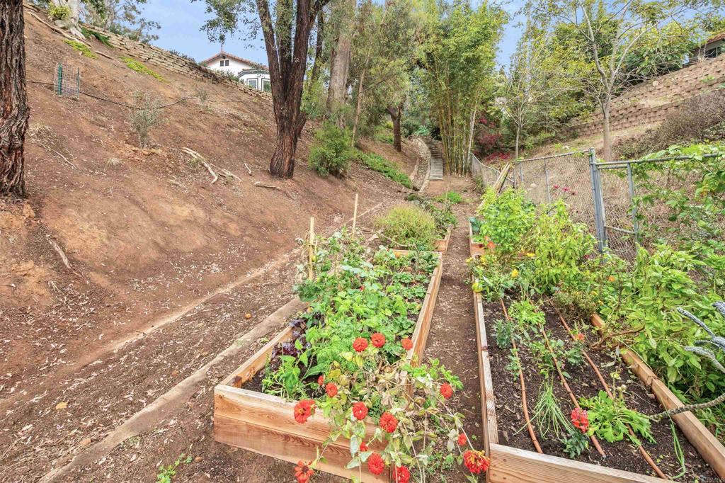 1427 Avocado Road Oceanside, CA 92054 - Photo 56 of 60 a view of a yard with potted plants