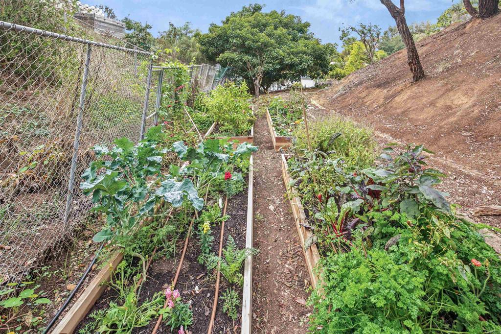1427 Avocado Road Oceanside, CA 92054 - Photo 57 of 60 a view of a garden with a building