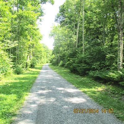 22 Hunters Ridge Dunmore, WV 24934 - Photo 8 of 9 Gallery Image 8