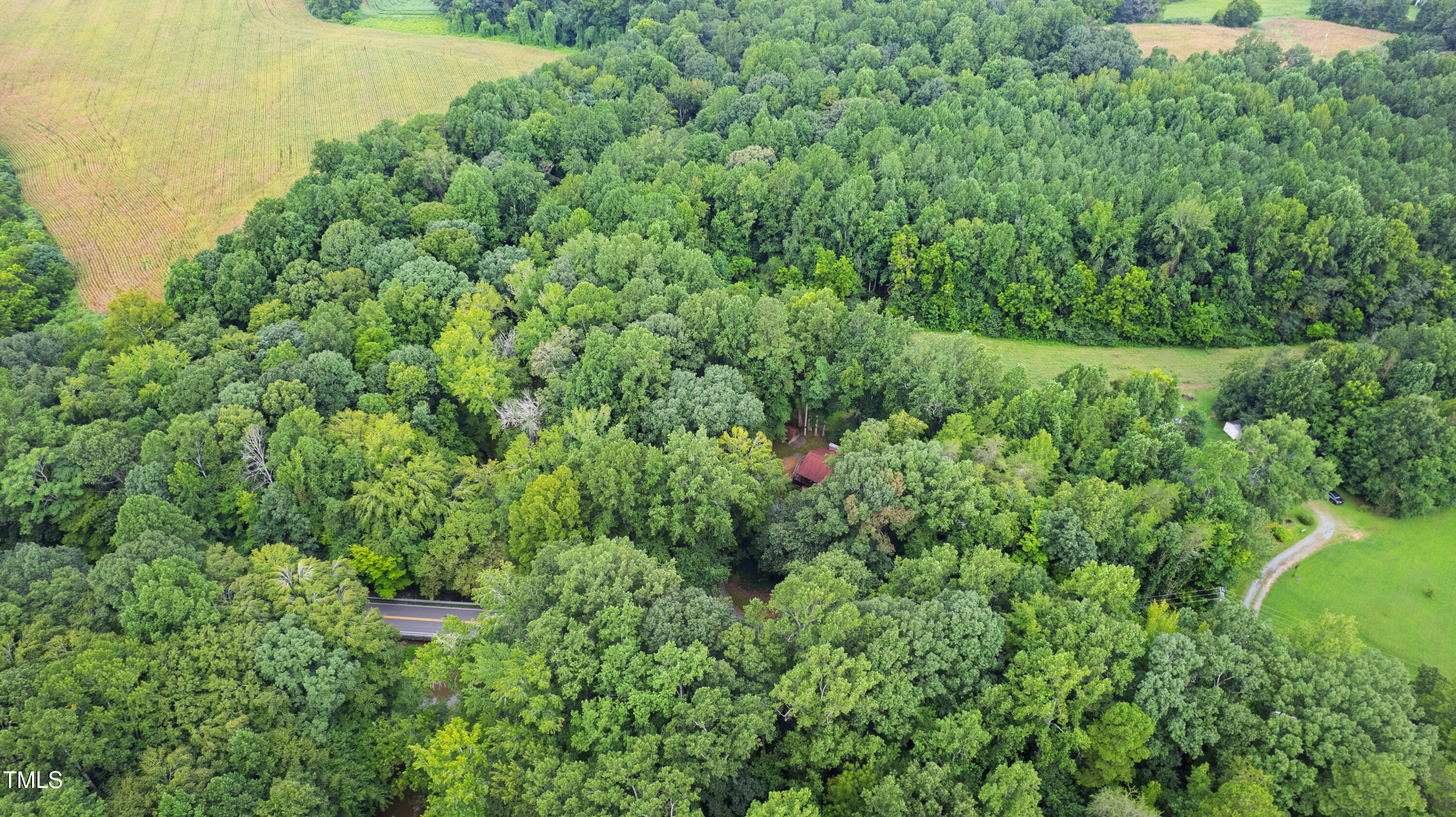 5415 Bradshaw Quarry Road Efland, NC 27243 - Photo 43 of 65 a view of a lush green forest with lots of trees