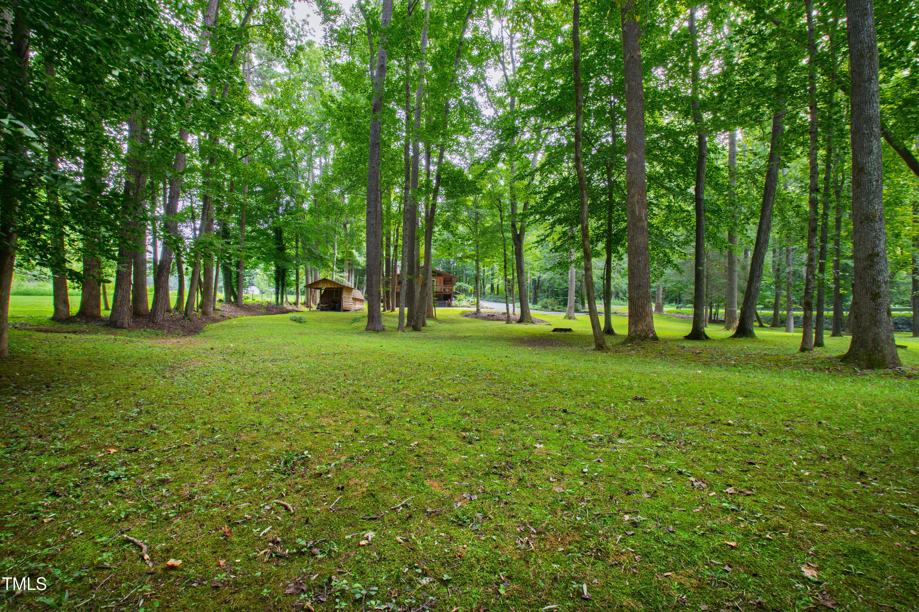 5415 Bradshaw Quarry Road Efland, NC 27243 - Photo 63 of 65 Bradshaw Ext (28)