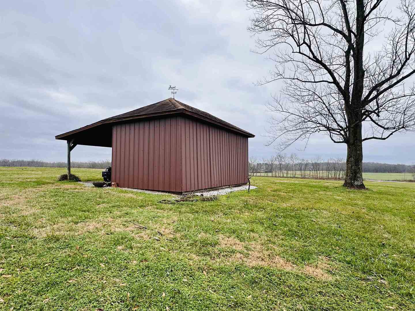 2290 Mt Pleasant Road Buncombe, IL 62912 - Photo 6 of 25