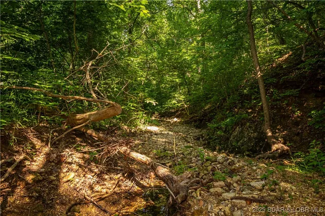 $240,000 | Beechnut, Stover, MO 65078