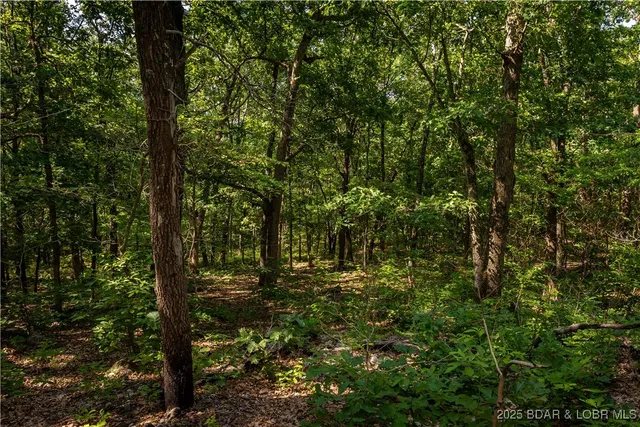 $240,000 | Beechnut, Stover, MO 65078