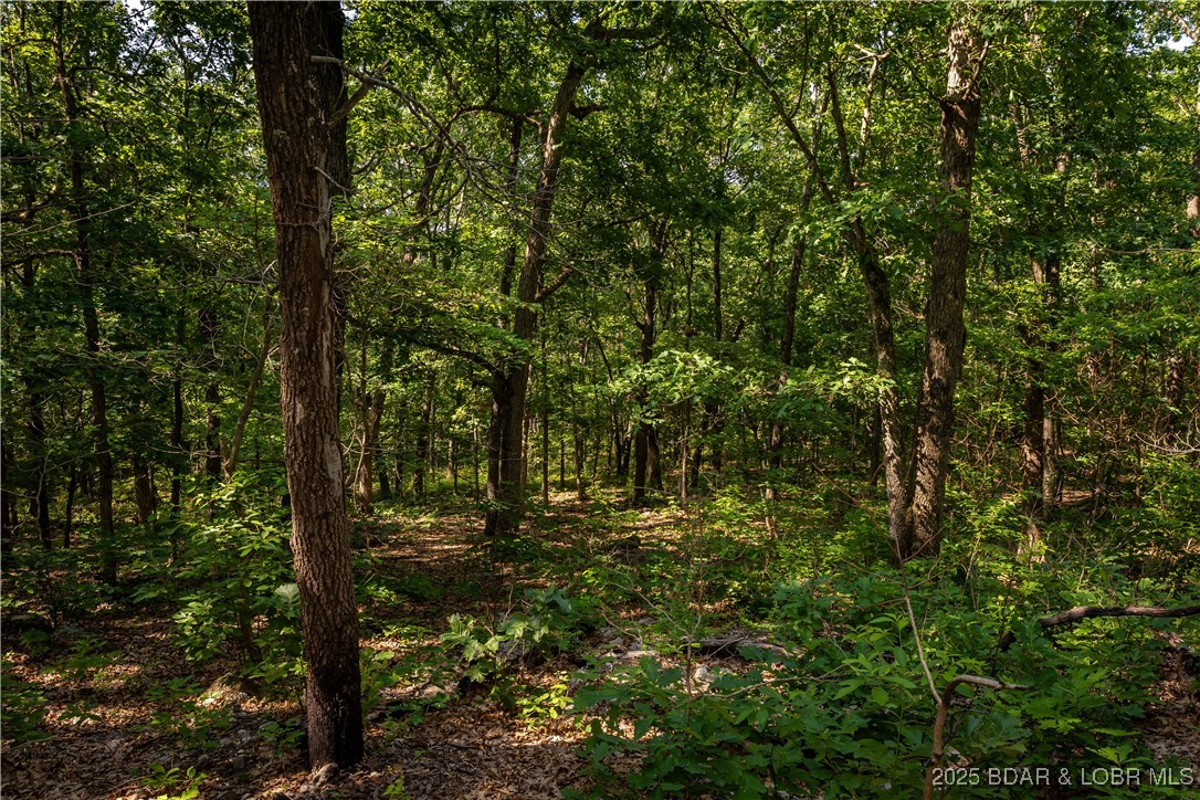 Beechnut Stover, MO 65078 - Photo 12 of 19