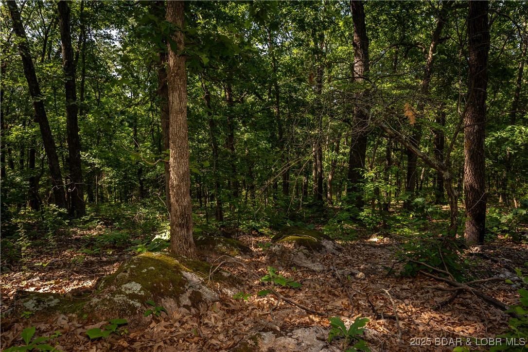 Beechnut Stover, MO 65078 - Photo 13 of 19