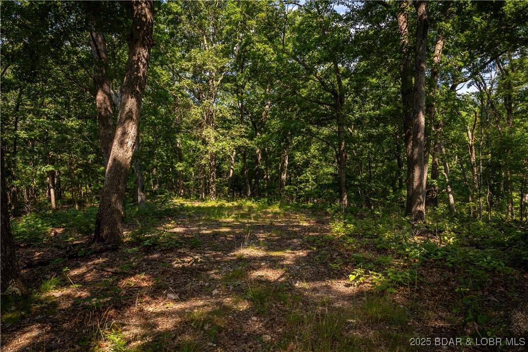 Beechnut Stover, MO 65078 - Photo 14 of 19