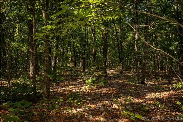 $240,000 | Beechnut, Stover, MO 65078