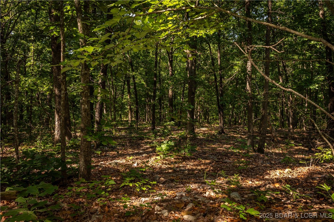 Beechnut Stover, MO 65078 - Photo 15 of 19