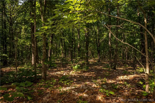 $240,000 | Beechnut, Stover, MO 65078