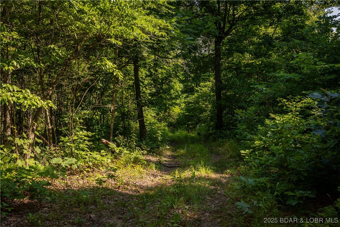 Beechnut Stover, MO 65078 - Photo 17 of 19