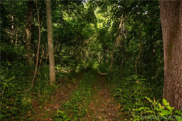 $240,000 | Beechnut, Stover, MO 65078