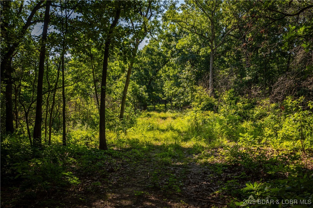 Beechnut Stover, MO 65078 - Photo 5 of 19