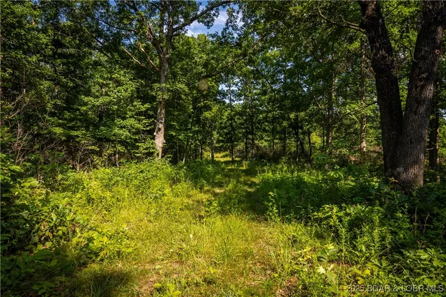 $240,000 | Beechnut, Stover, MO 65078