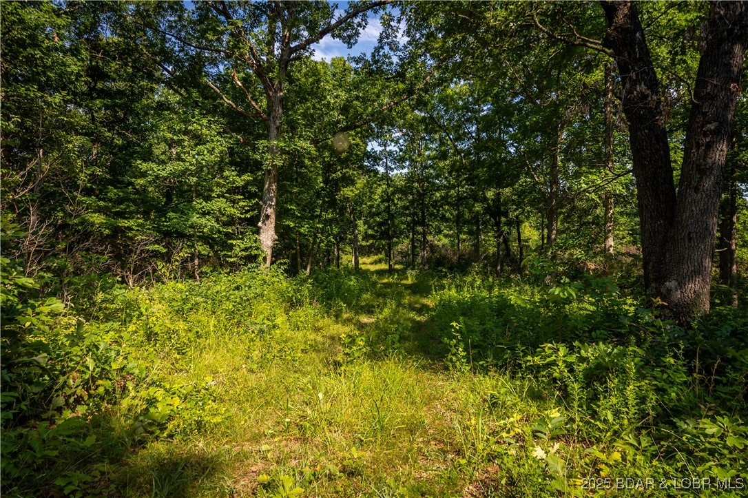 Beechnut Stover, MO 65078 - Photo 6 of 19