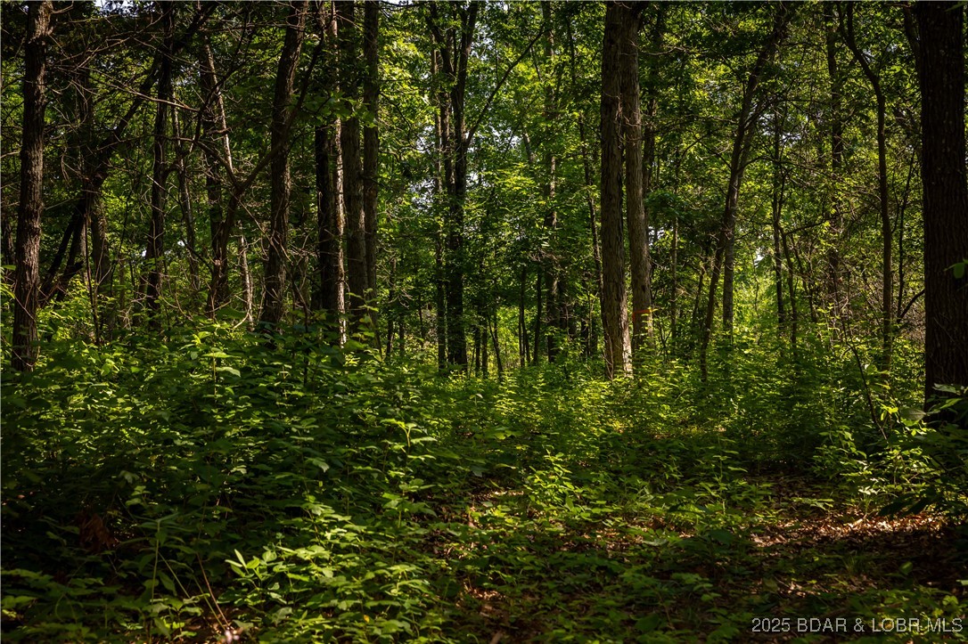 Beechnut Stover, MO 65078 - Photo 7 of 19