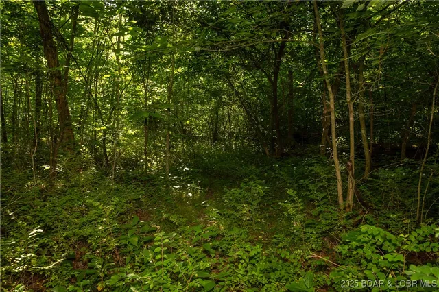 $240,000 | Beechnut, Stover, MO 65078