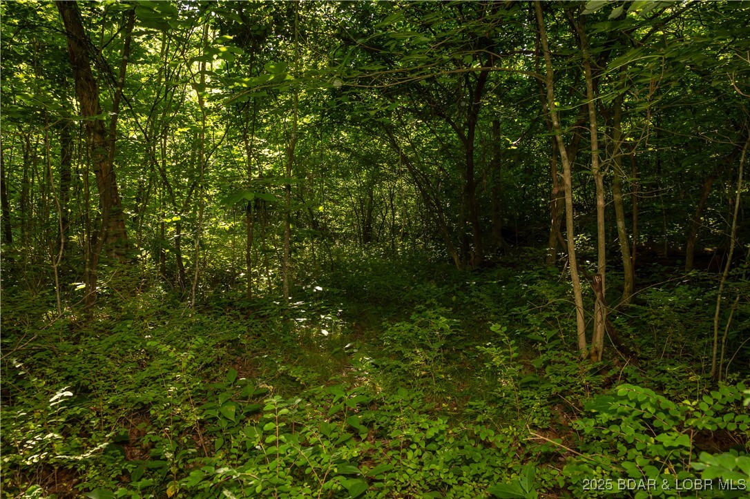 Beechnut Stover, MO 65078 - Photo 8 of 19