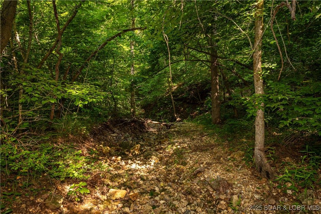 Beechnut Stover, MO 65078 - Photo 9 of 19