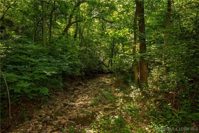 $240,000 | Beechnut, Stover, MO 65078