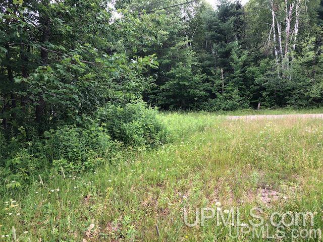 Tbd Taylor Road Marquette, MI 49855 - Photo 2 of 2