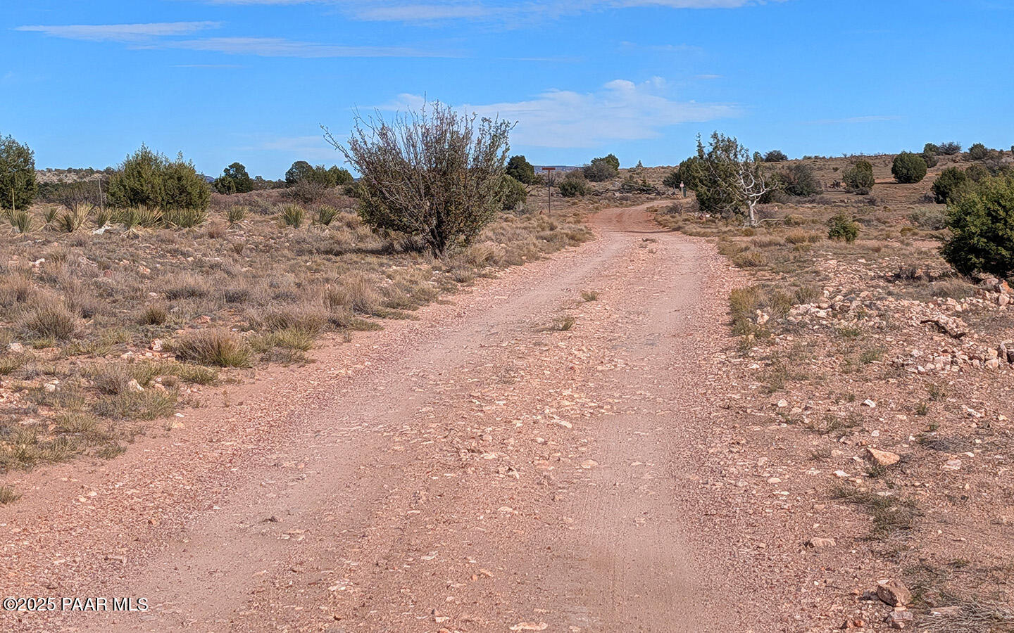 0 West Via Dolorosa Road Seligman, AZ 86337 - Photo 11 of 39 a view of a dry yard with trees in the background