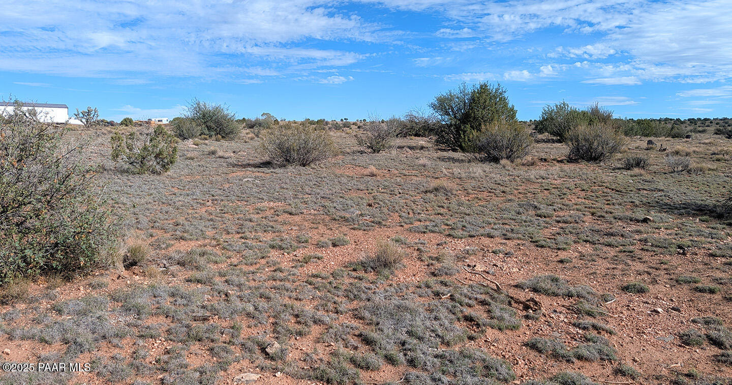 0 West Via Dolorosa Road Seligman, AZ 86337 - Photo 15 of 39 a view of a dry space with lots of trees