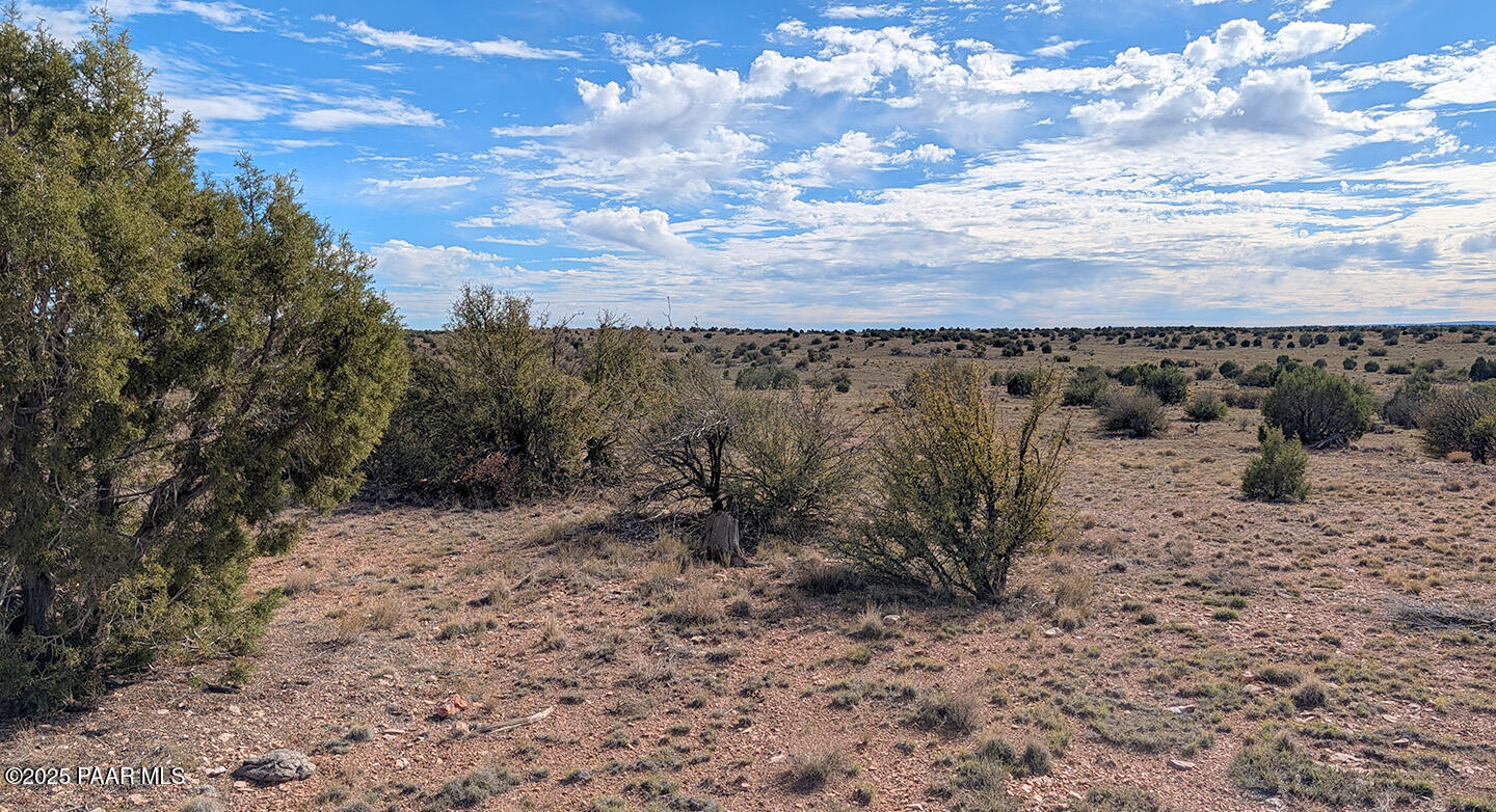 0 West Via Dolorosa Road Seligman, AZ 86337 - Photo 19 of 39 a view of a dry yard with wooden fence and trees