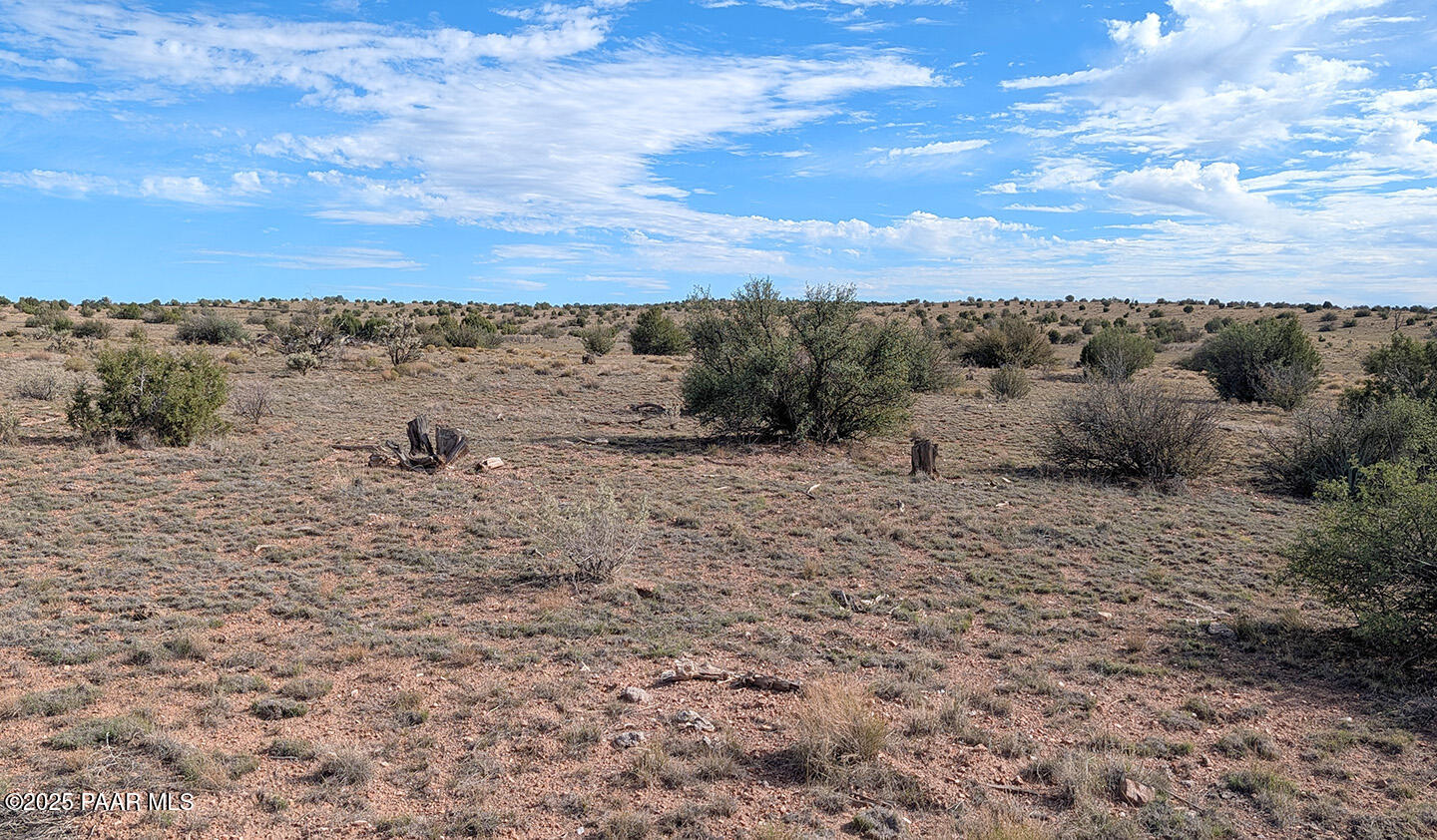 0 West Via Dolorosa Road Seligman, AZ 86337 - Photo 24 of 39 a view of a dry yard with lots of trees