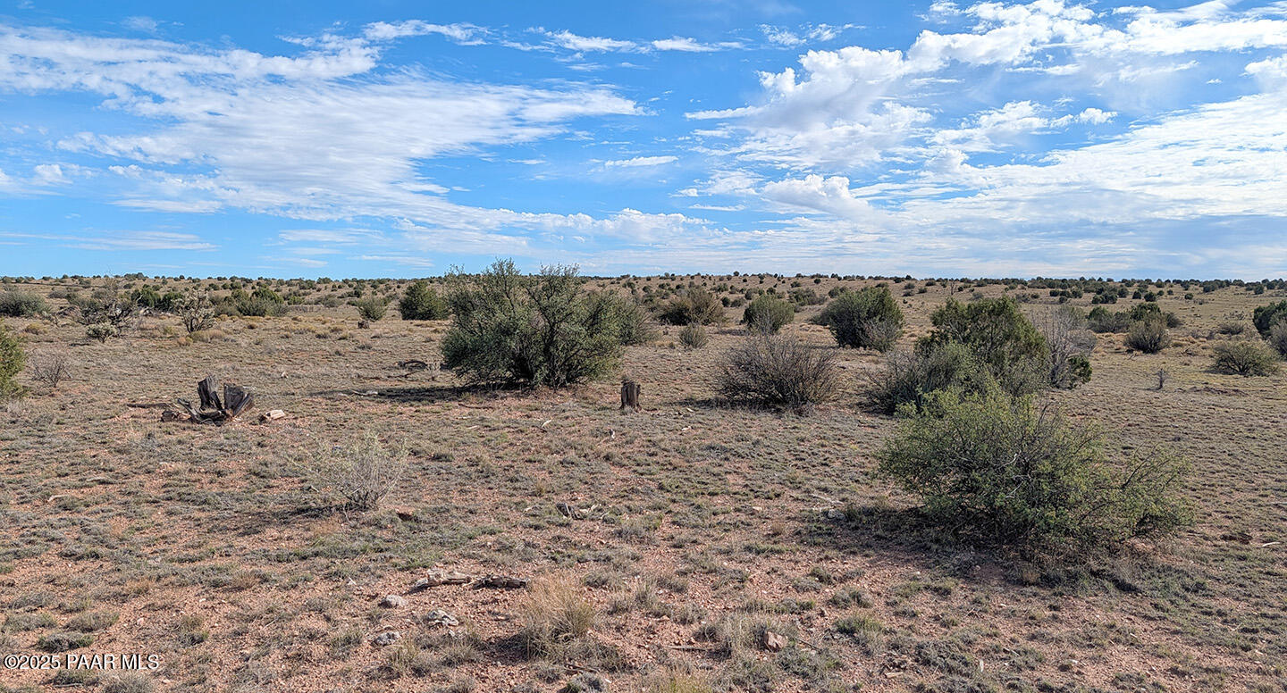 0 West Via Dolorosa Road Seligman, AZ 86337 - Photo 25 of 39 a view of a dry space with lots of trees