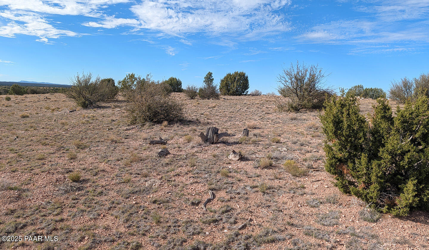 0 West Via Dolorosa Road Seligman, AZ 86337 - Photo 28 of 39 a view of a dry yard with wooden fence and trees