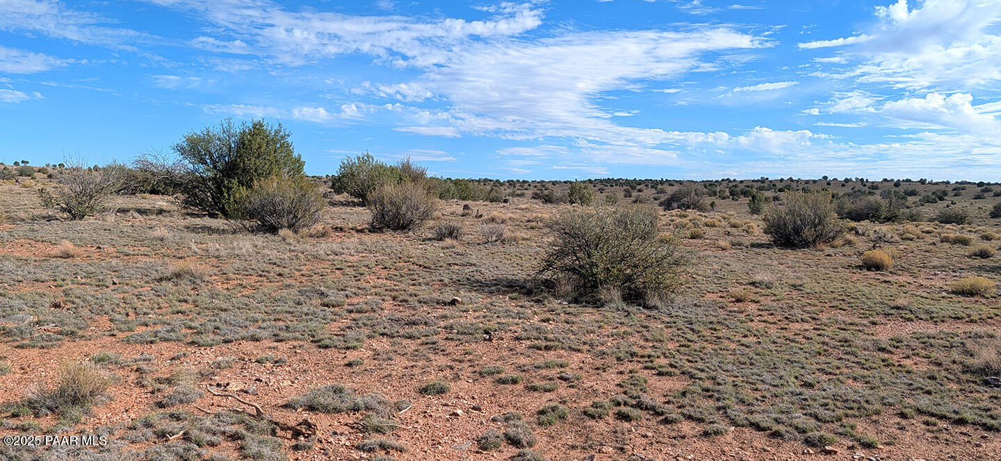 0 West Via Dolorosa Road Seligman, AZ 86337 - Photo 30 of 39 a view of a dry yard with trees