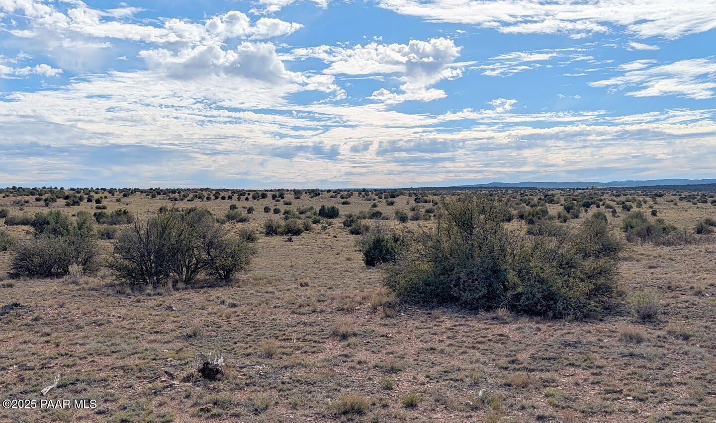 0 West Via Dolorosa Road Seligman, AZ 86337 - Photo 6 of 39 a view of a dry yard